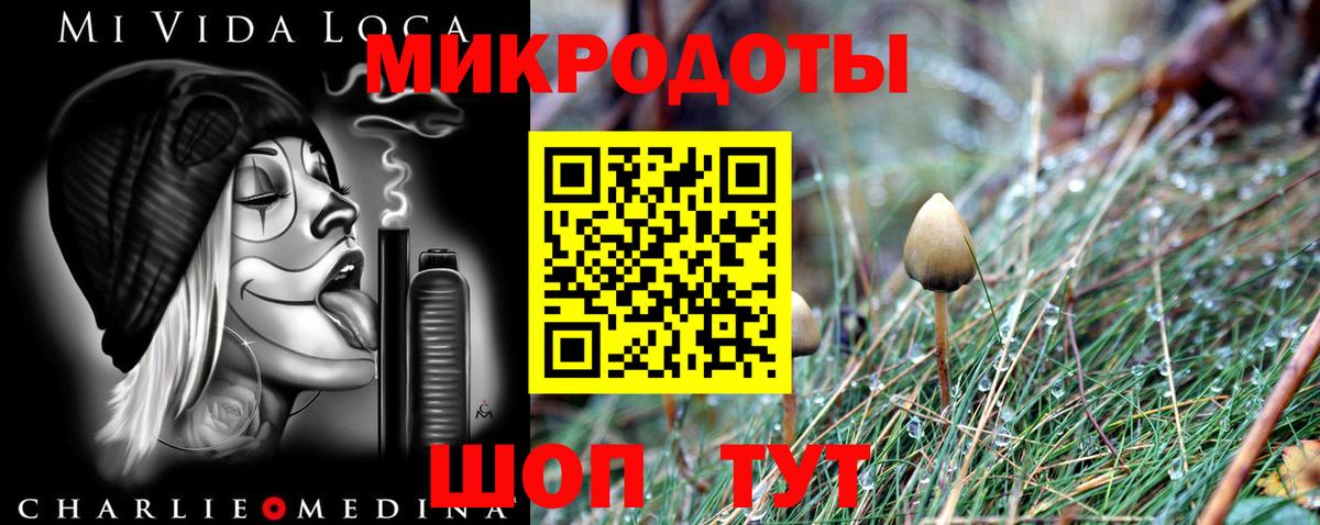 Бутират Кашира